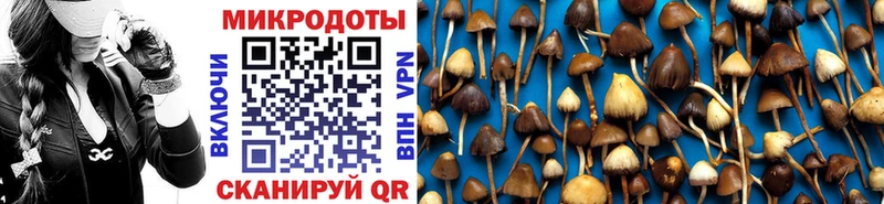 кракен tor  Каспийск  Псилоцибиновые грибы прущие грибы 